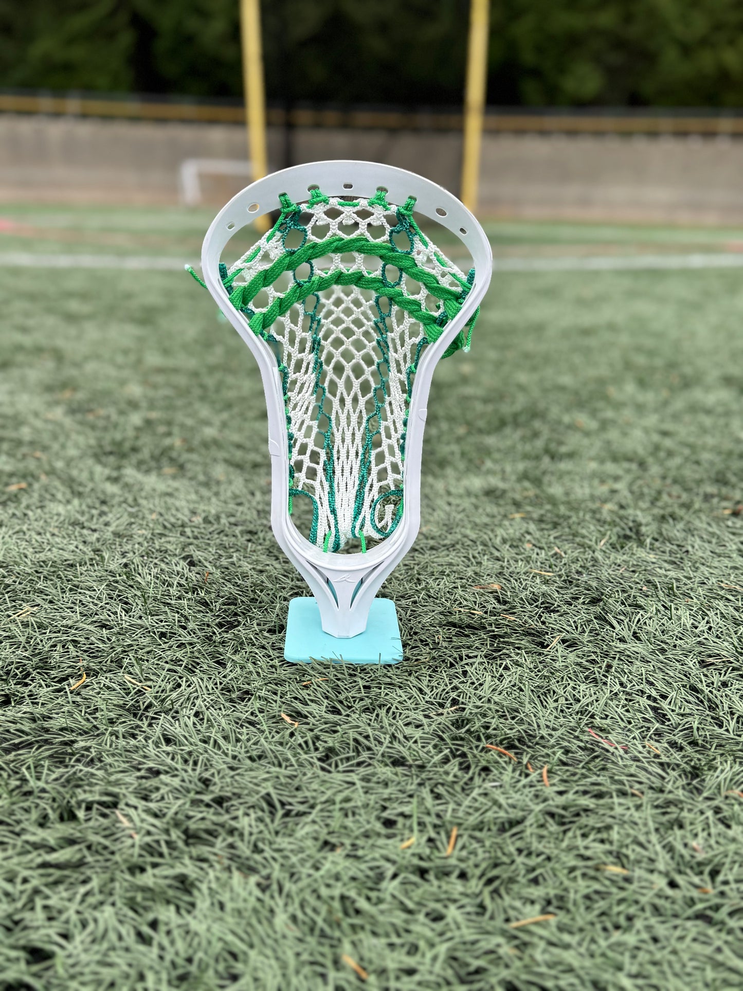 Alpha Ascension strung head