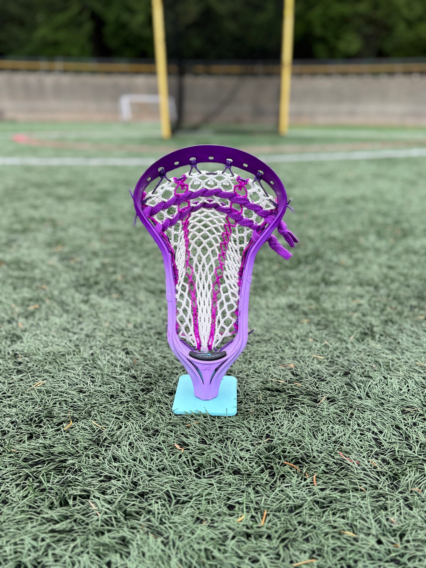 Alpha Ascension strung head