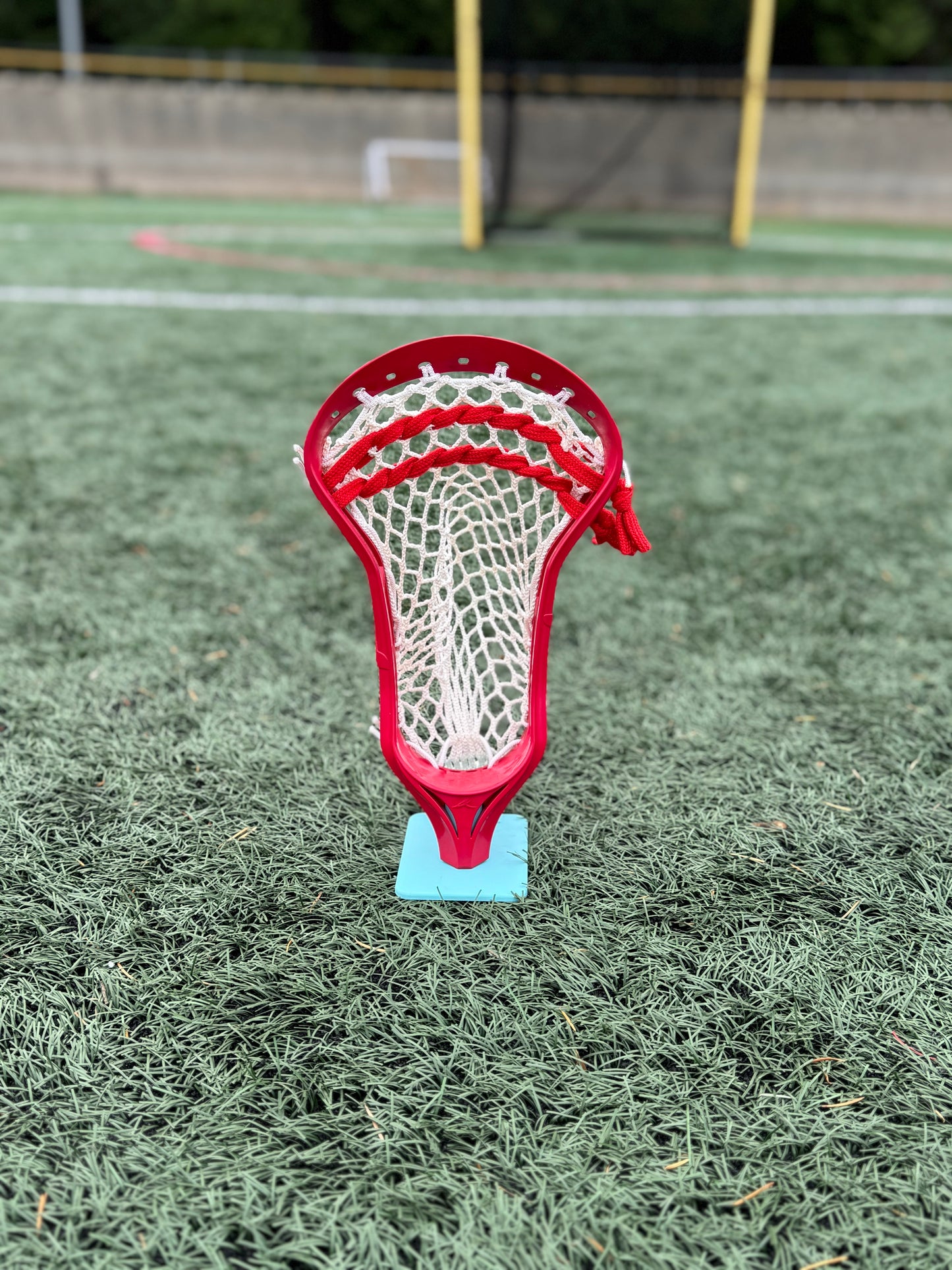 Alpha Ascension strung head
