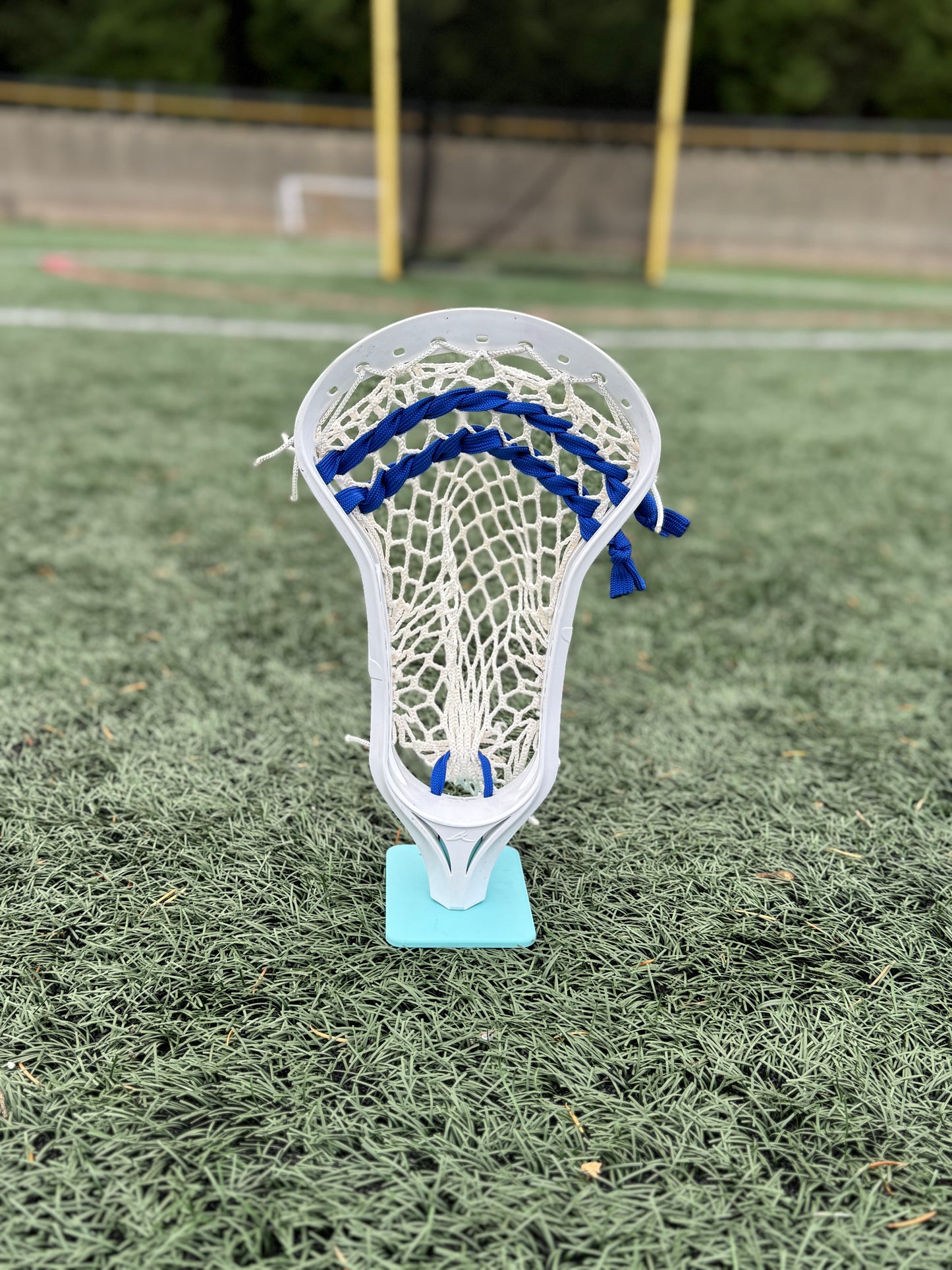 Alpha Ascension strung head