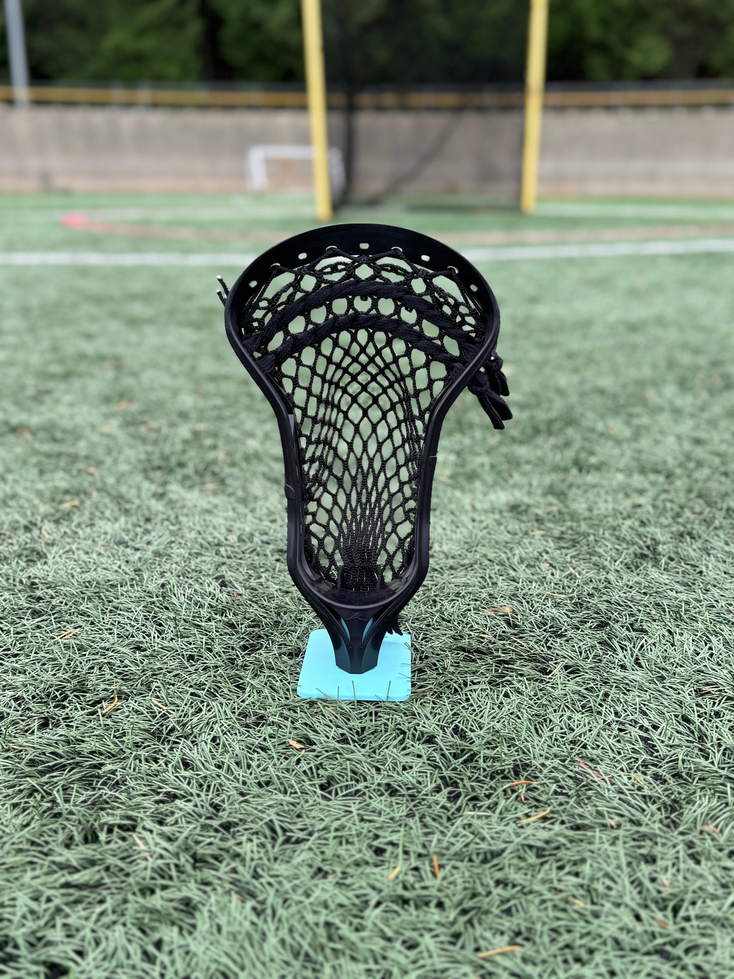 Alpha Ascension strung head