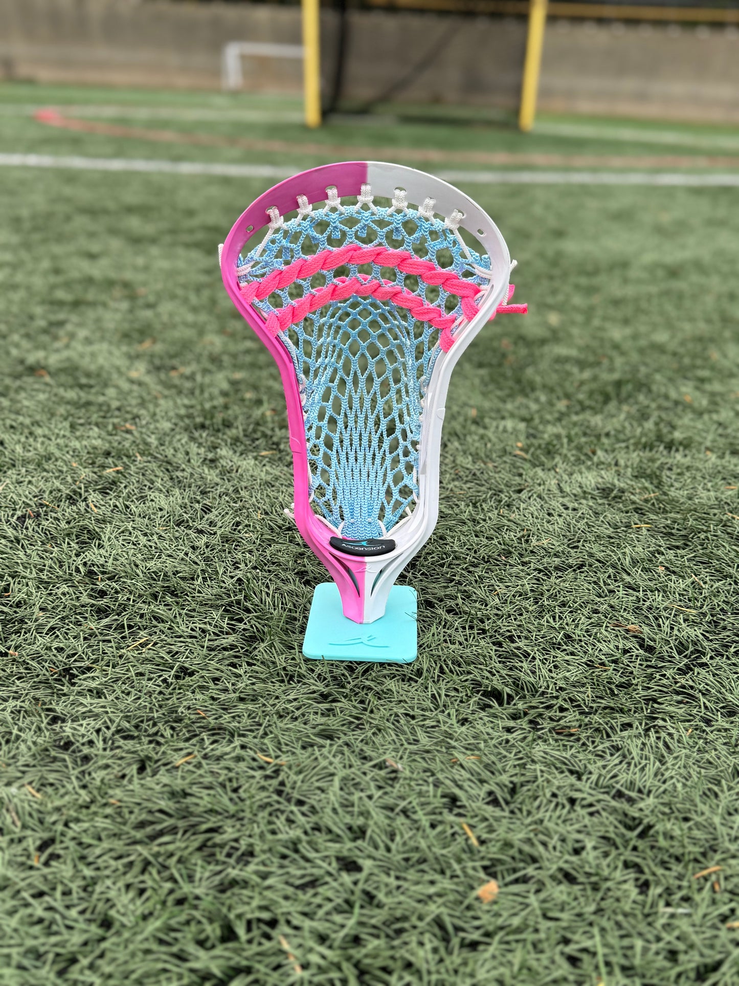Alpha Ascension strung head