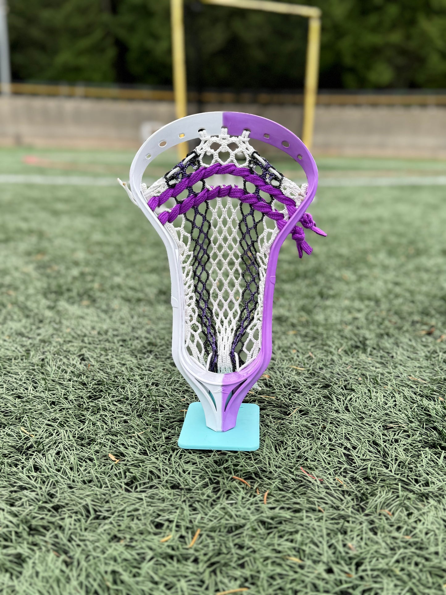 Alpha Ascension strung head