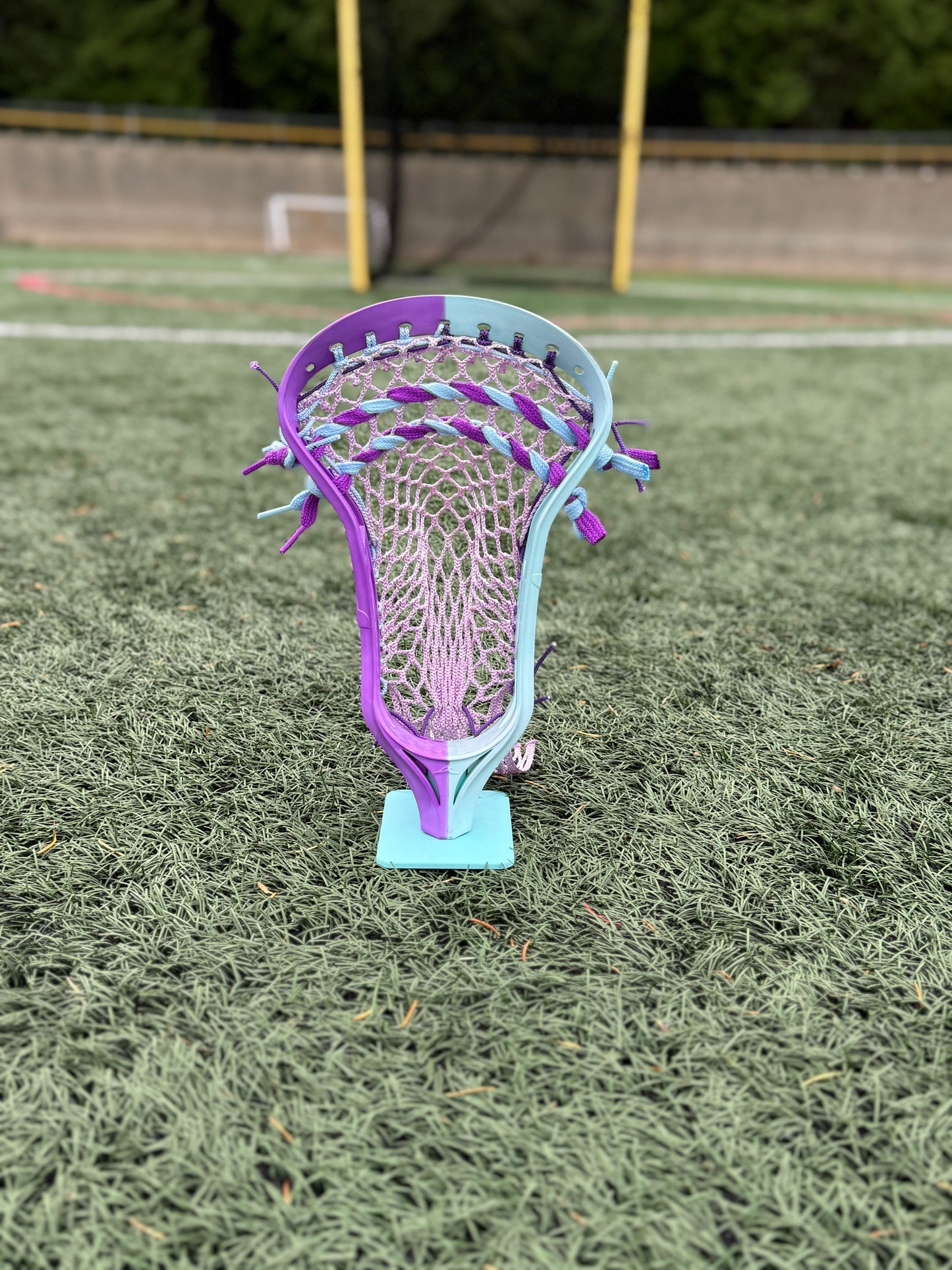 Alpha Ascension strung head