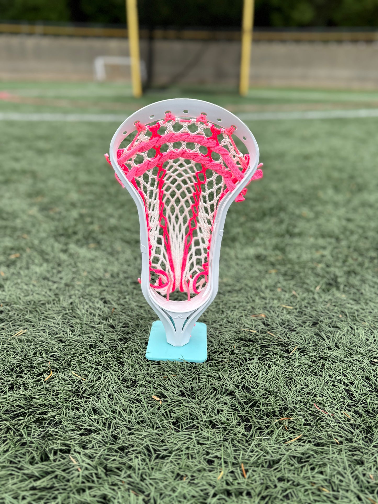 Alpha Ascension strung head