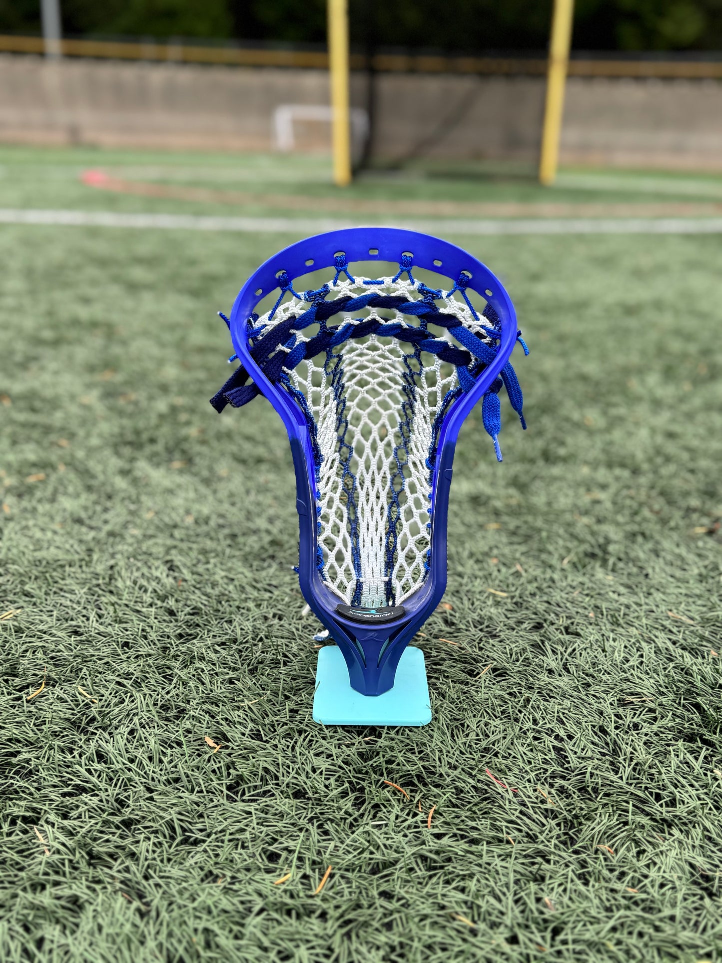 Alpha Ascension strung head