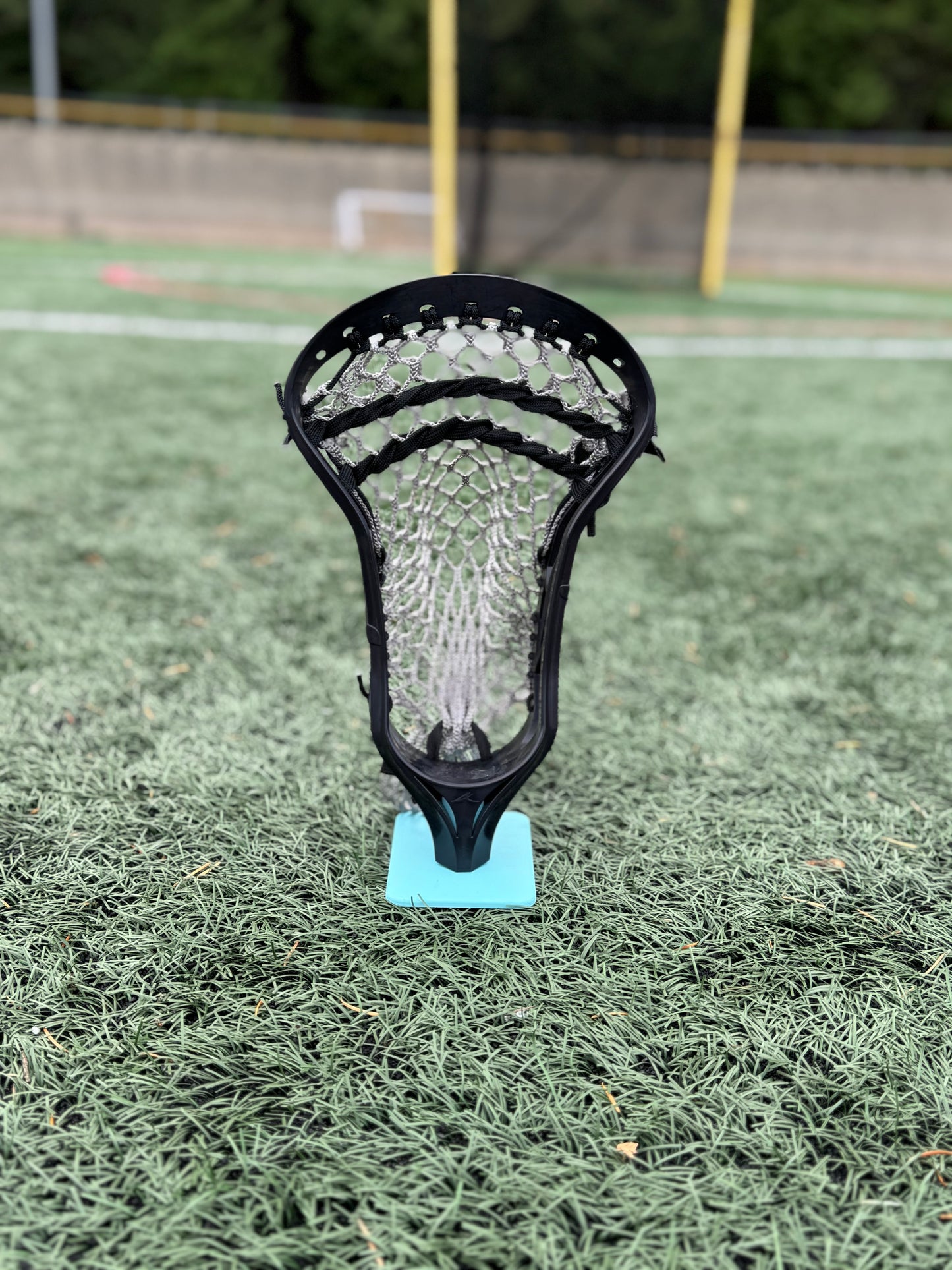 Alpha Ascension strung head