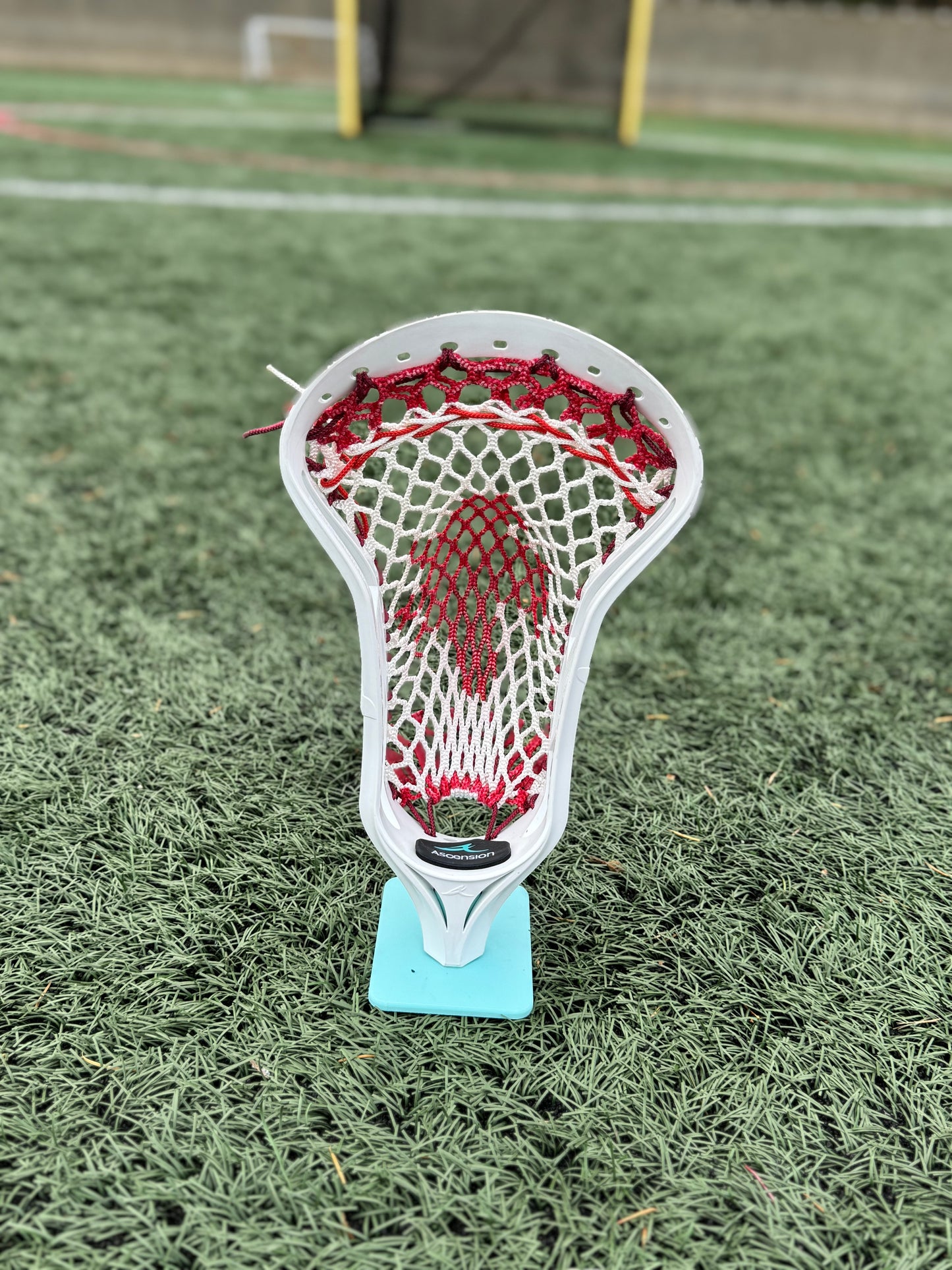 Alpha Ascension strung head