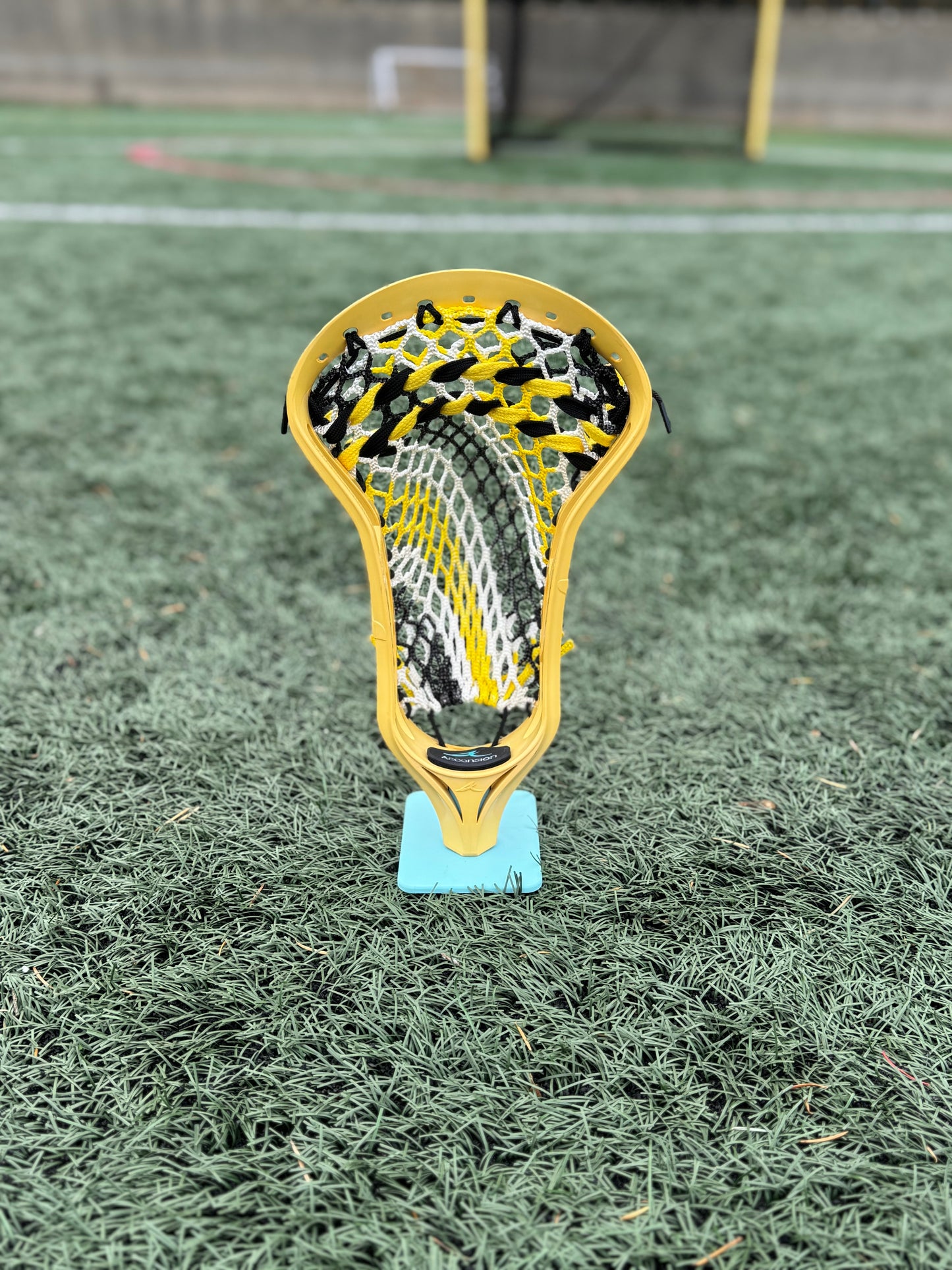 Alpha Ascension strung head