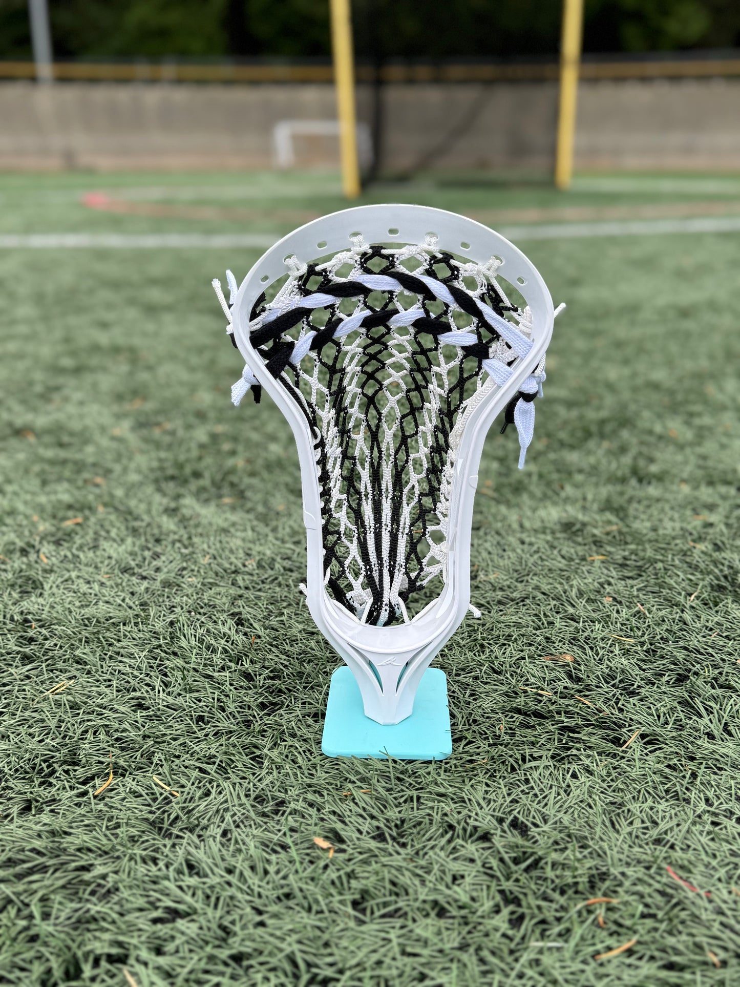 Alpha Ascension strung head