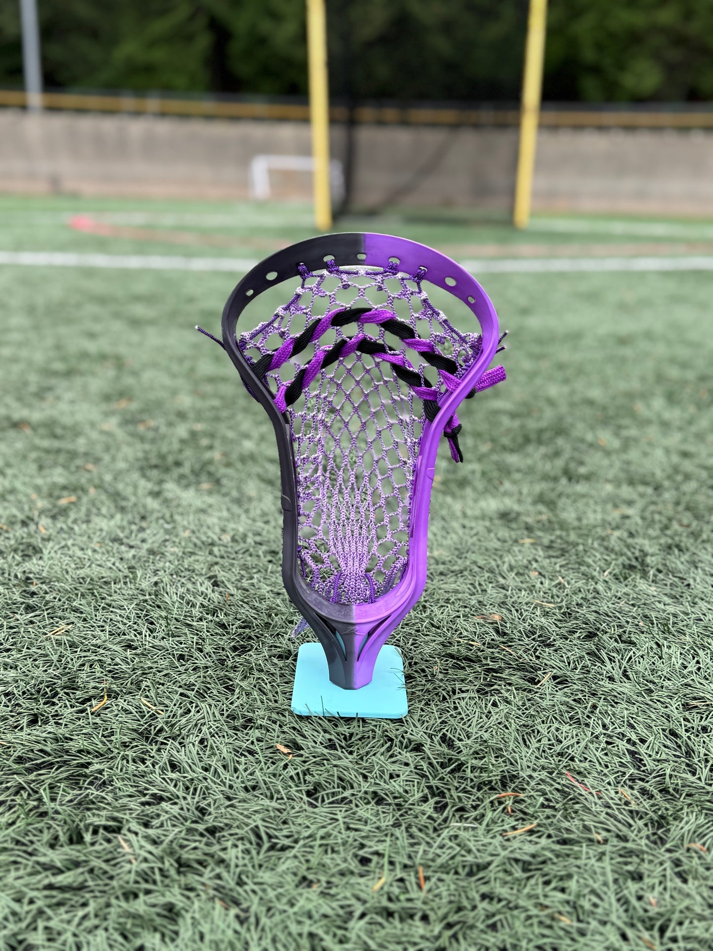 Alpha Ascension strung head